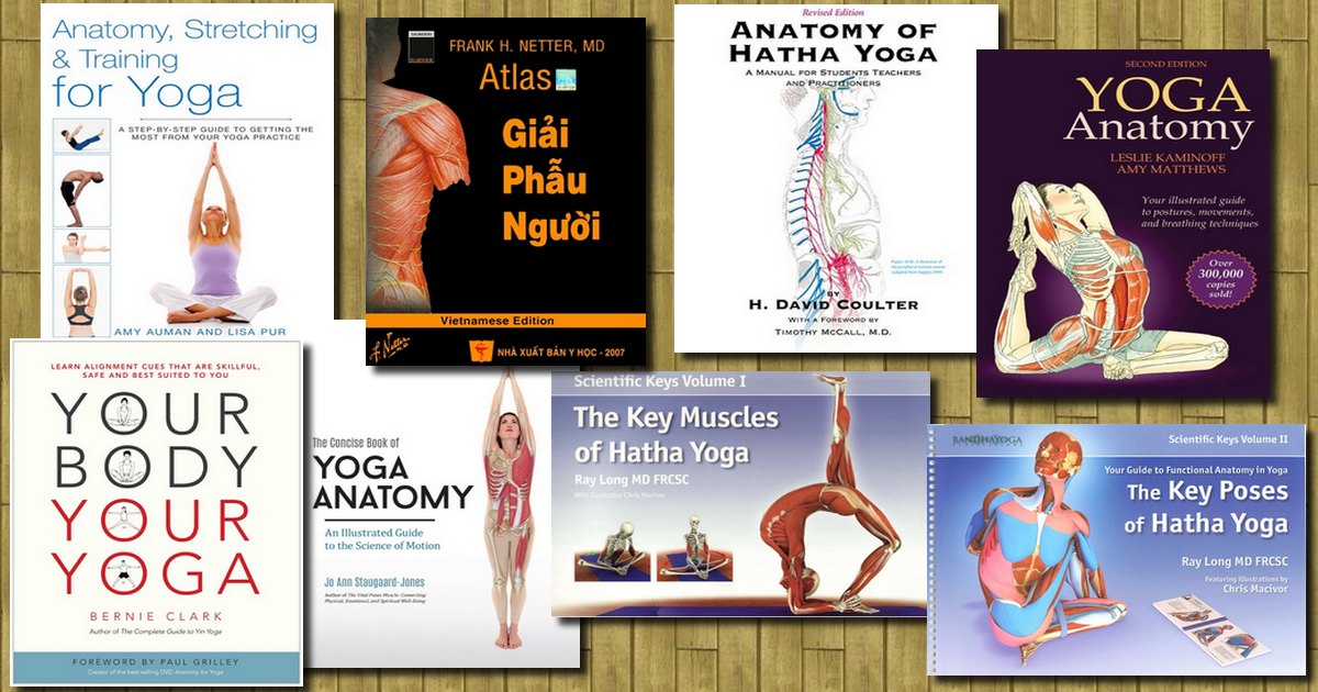 Tổng hợp các ebook sách Yoga chủ đề giải phẫu học