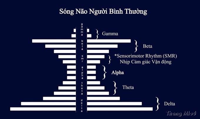 Sóng Não Người Bình Thường