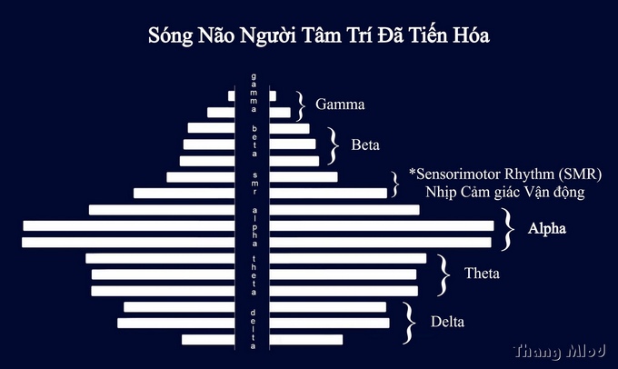 Sóng Não Người Tâm Trí Đã Tiến Hóa