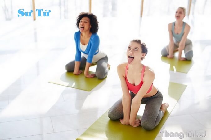 tư thế Sư Tử - Lion Pose