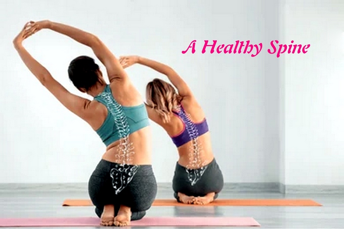 Tầm quan trọng của cột sống trong Yoga