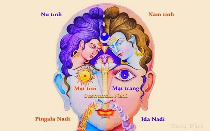 Kênh năng lượng Mặt trăng, Mặt trời đối với sức khỏe thể chất và tinh thần