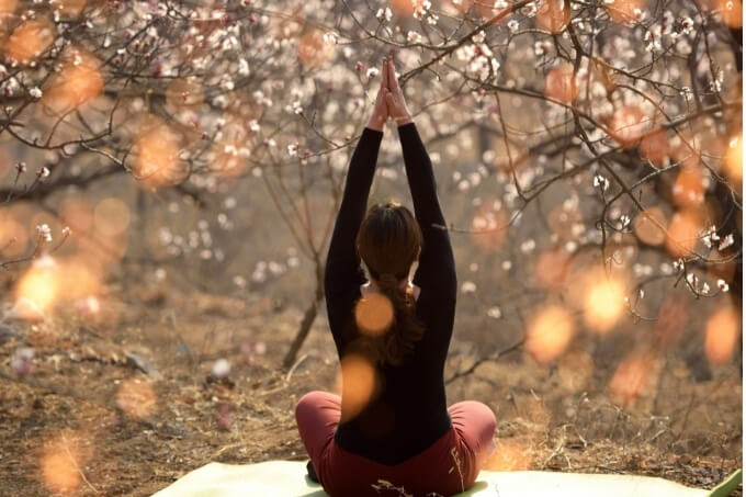 Thực hành Yoga, Pranayama, Thiền định