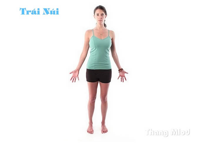 tư thế Trái Núi - Mountain Pose
