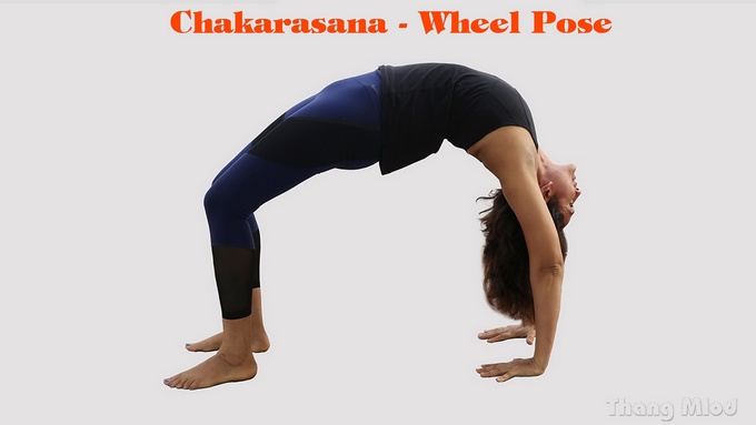 Tư thế Bánh Xe (Chakarasana - Wheel Pose)