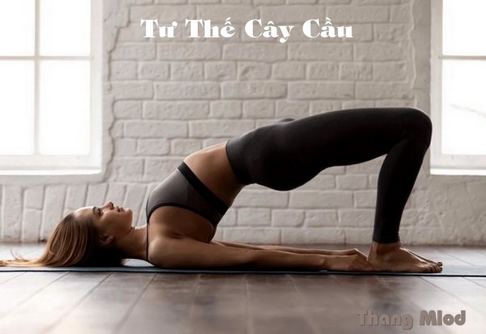 Tư Thế Cây Cầu (Setu Bandha Sarvangasana - Bridge Pose)