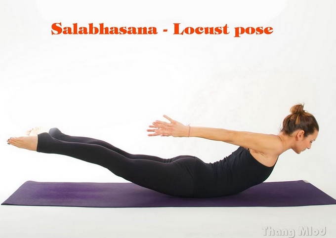 Tư thế Châu Chấu (Salabhasana - Locust pose)
