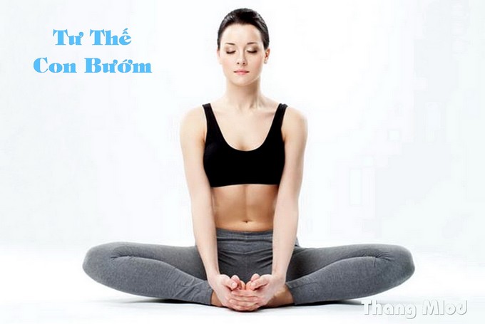 Tư Thế Con Bướm (Baddha Konasana - Butterfly Pose)