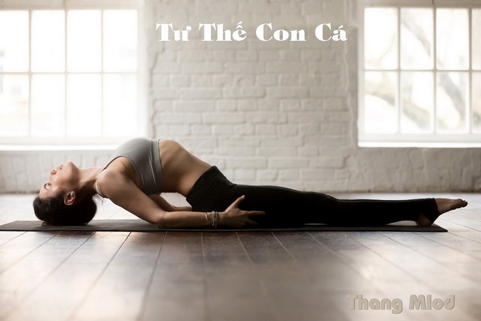 Tư Thế Con Cá (Matsyasana - Fish Pose)