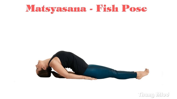 Tư thế Con Cá (Matsyasana - Fish Pose)