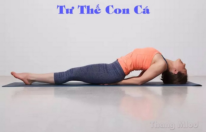Tư Thế Con Cá (Matsyasana - Fish Pose)