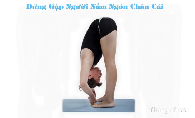 Đứng Gập Người Nắm Ngón Chân Cái (Padangusthasana - Big Toe Pose)