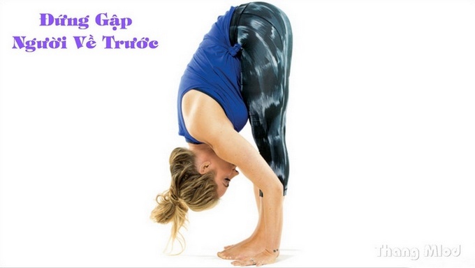 Đứng Gập Người Về Trước (Uttanasana - Standing Forward Bend)