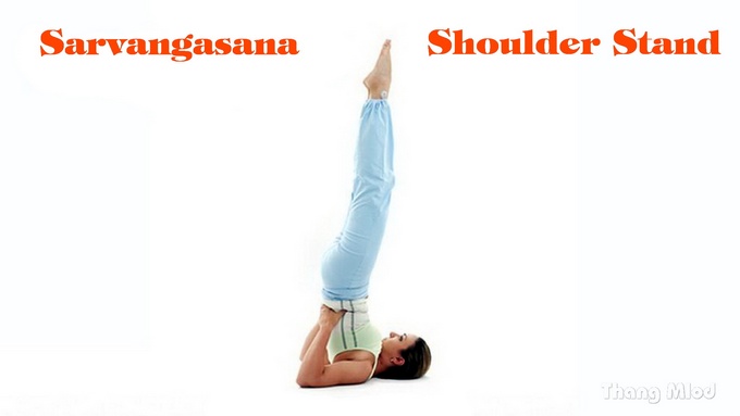 Tư thế Đứng Trên Vai (Sarvangasana - Shoulder Stand)