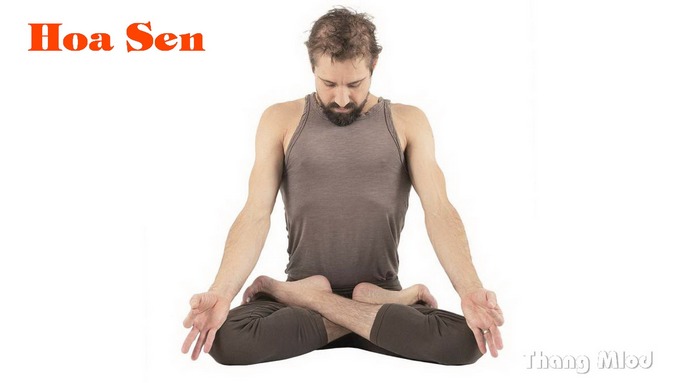 Ngồi Hoa Sen (Padmasana - Lotus Pose)