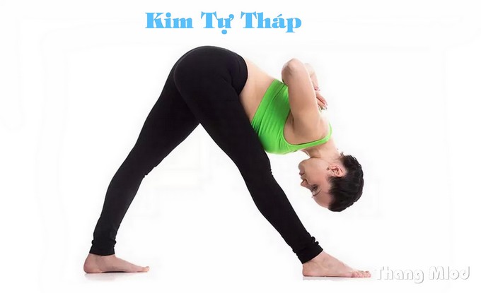 Tư Thế Kim Tự Tháp (Parsvottanasana – Pyramid Pose)