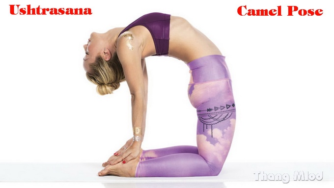 Tư thế Lạc Đà (Ushtrasana - Camel Pose)