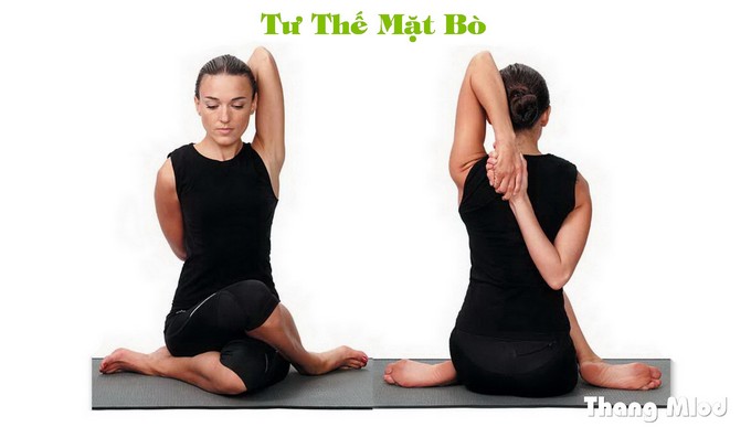 Tư Thế Mặt Bò (Gomukhasana - Cow Face Pose)