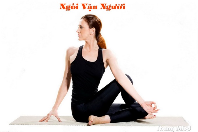 Ngồi Vặn Người (Ardha Matsyendrasana - Half Lord Of The Fishes Pose)