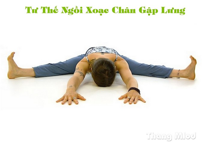 Tư Thế Ngồi Xoạc Chân Gập Lưng (Upavistha Konasana - Wide Angle Seated Forward Bend Pose)