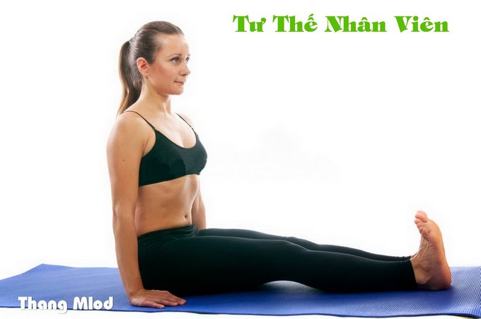 Tư Thế Nhân Viên (Dandasana - Staff Pose)