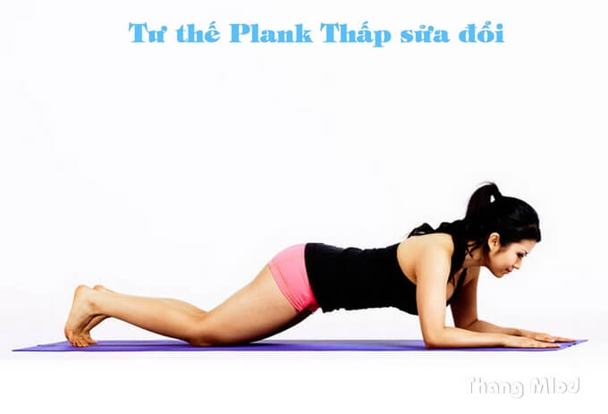 Tư thế plank thấp sửa đổi