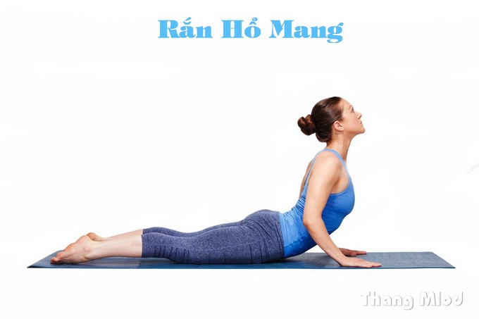 Tư Thế Rắn Hổ Mang (Bhujangasana - Cobra Pose)