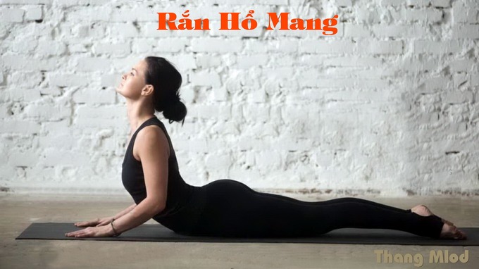 Rắn Hổ Mang (Bhujangasana - Cobra pose)