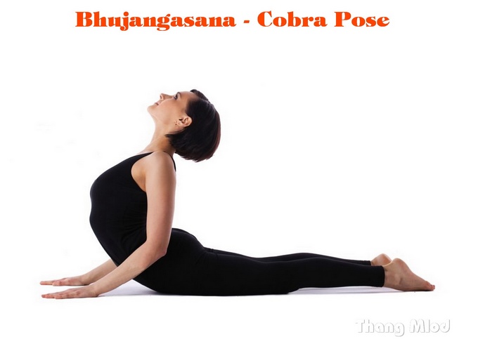Tư thế Rắn Hổ Mang (Bhujangasana - Cobra Pose)