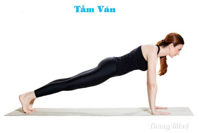 Tư Thế Tấm Ván (Low Plank and High Plank - Chaturanga Dandasana)