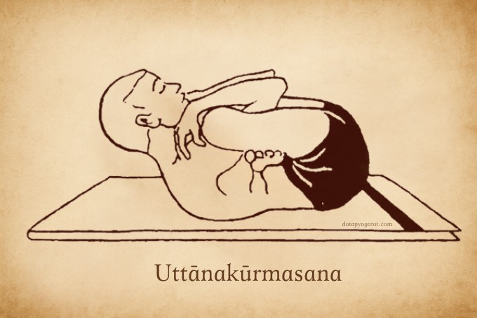 Uttānakūrmasana – Tư thế Rùa Ngửa: Tĩnh lặng mở lòng và an trú nội tâm