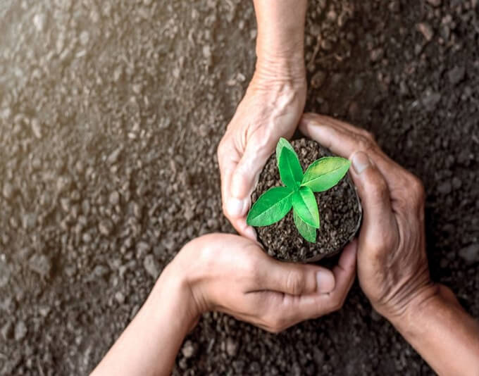 Văn Hóa Truyền Thống Ấn Độ - Phía bên phải