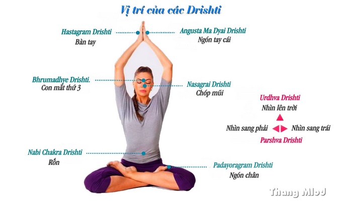 Vi trí của các Drishti
