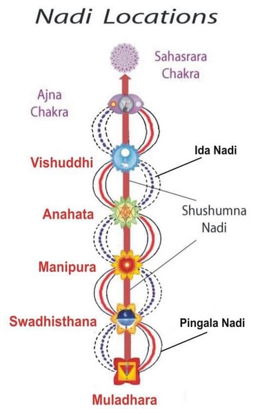 Vị trí kênh năng lượng nadi