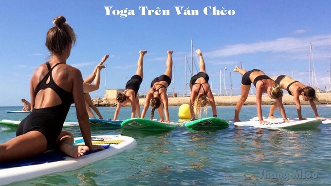 Yoga ván chèo