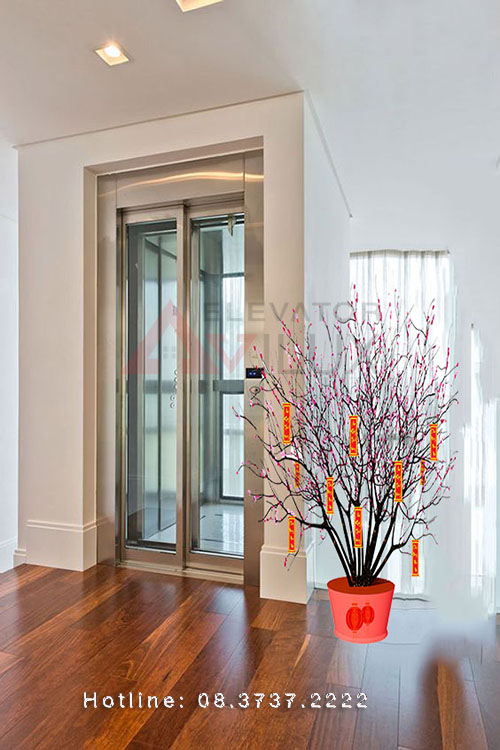 thang máy tải trọng 450kg