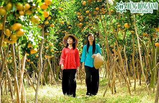 TOUR MIỀN TÂY 3 NGÀY 2 ĐÊM: TP HỒ CHÍ MINH- MỸ THO- BẾN TRE- CẦN THƠ