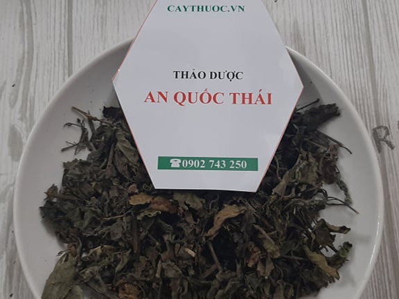 Cây quả nổ