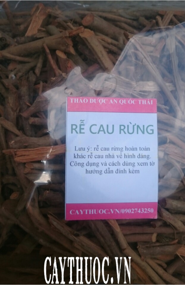 RỄ CAU KHÔ