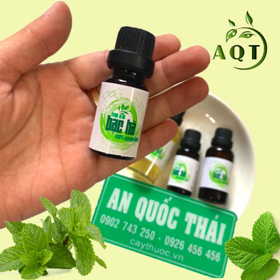tinh dầu bạc hà mua ở đâu