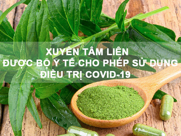 Xuyên tâm liên là gì