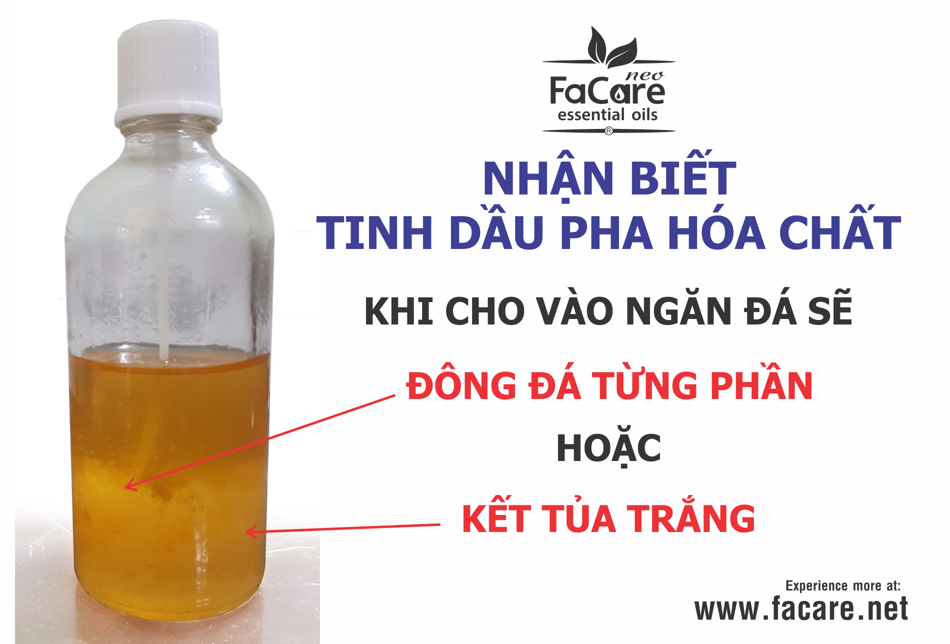 Phân Biệt Tinh Dầu Thiên Nhiên Thật Và Giả