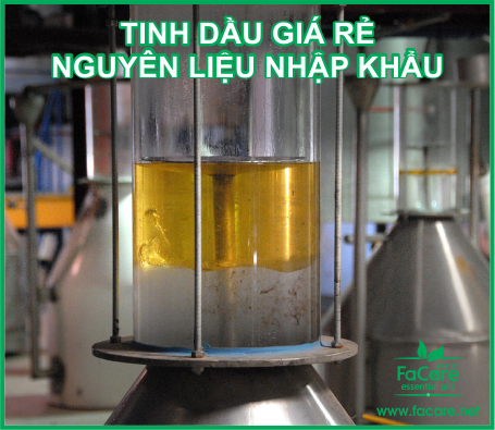 TINH DẦU GIÁ RẺ - CHẤT LƯỢNG NHẬP KHẨU