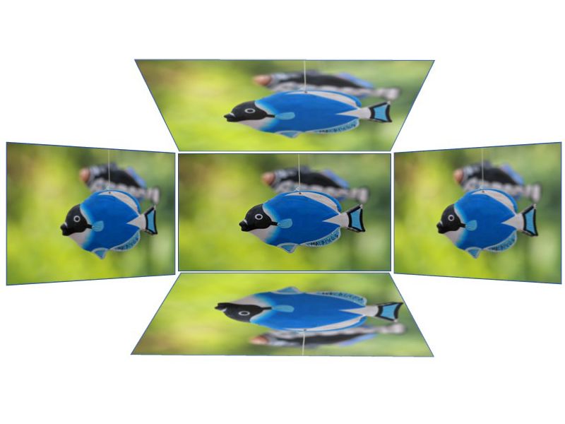 Độ sáng phù hợp để trình chiếu ở mọi không gian