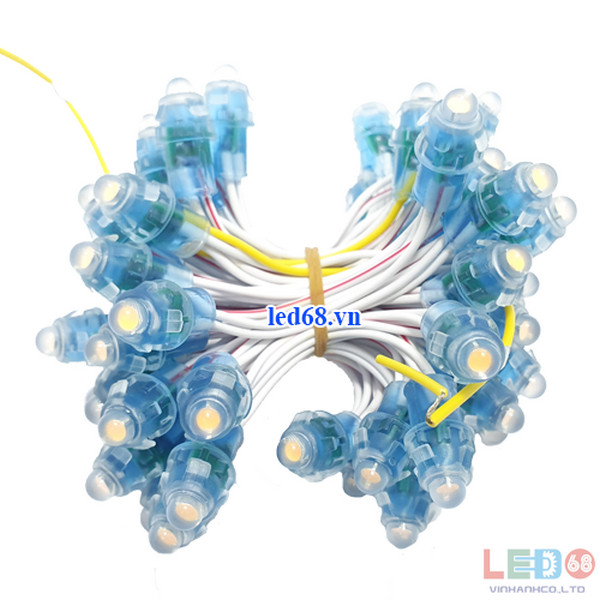 Nên sử dụng đèn led đúc 5V hay led đúc 12V?