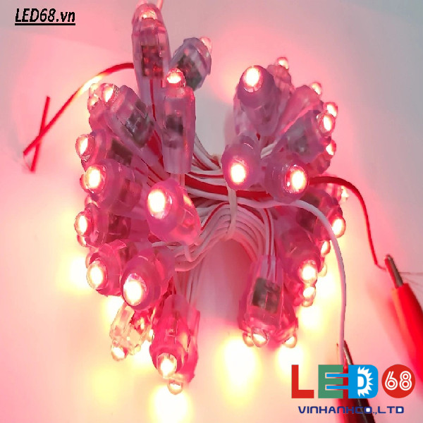 Nên sử dụng đèn led đúc 5V hay led đúc 12V?