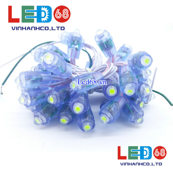 Tổng hợp các loại đèn led trang trí hot nhất hiện nay