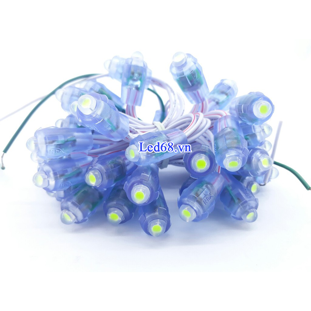 Các loại đèn led trang trí