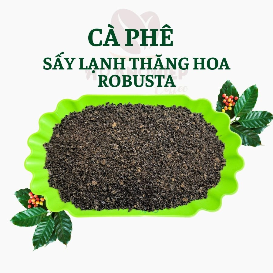 Hướng dẫn người mới bắt đầu thưởng thức cà phê sấy lạnh thăng hoa Robusta