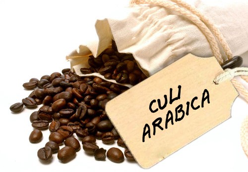 Cà phê Culi Arabica